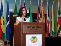 44234919_1891842517570765_4334006147833921536_n