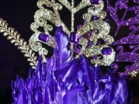 72999823_2486855031402841_4416237819316404224_n