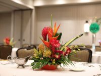 73060217_2486840758070935_1870787531075747840_n