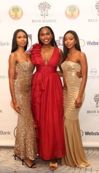 imgi_70_571031896_1142558308030793_1433928037401934430_n