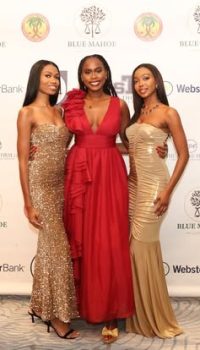 imgi_72_569064073_1142560964697194_639972132251341778_n